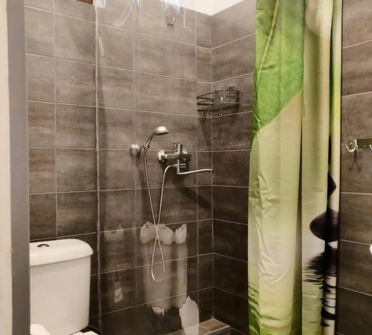 Guest House On Marjanishvili Tbilisi Apartament